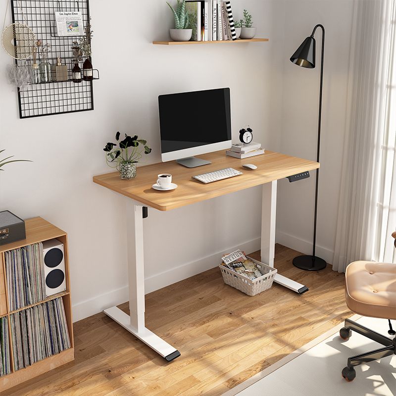 FlexiSpot EF1 Höhenverstellbarer Schreibtisch-Gestell EF1W,elektrisch, weiß