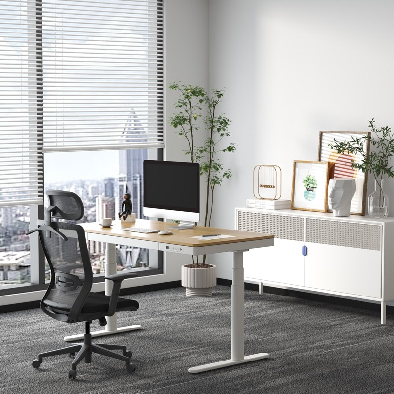 FlexiSpot BackSupport Bürostuhl BS3,Ergonomischer Stuhl für sitzende Büroarbeiter