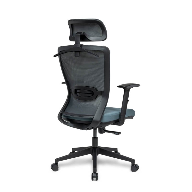 FlexiSpot BackSupport Bürostuhl BS3,Ergonomischer Stuhl für sitzende Büroarbeiter
