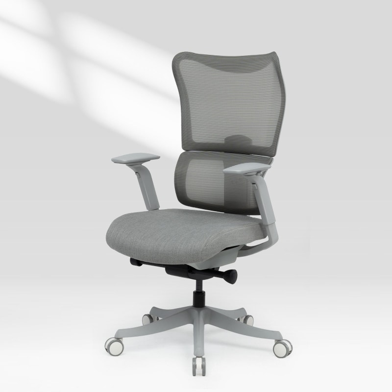 FlexiSpot Ergonomische Bürostühle bequem fürs Büro und Gaming BS8 Pro, Grau