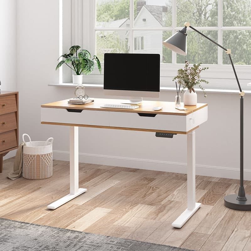 FlexiSpot Esben Höhenverstellbarer Schreibtisch mit zwei Schubladen und USB-Anschlüssen