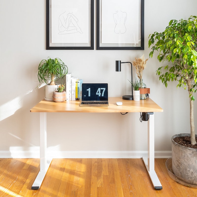 Flexispot EG1 Elektrisch Höhenverstellbares Schreibtisch-Gestell, weiß,nur Tischgestell