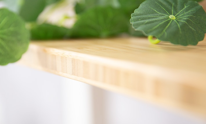 Flexispot E2 Standing Desk