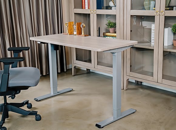 Flexispot Elektrisch Höhenverstellbares Schreibtisch-Gestell EG1, grau, nur Tischgestell